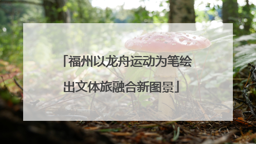 福州以龙舟运动为笔绘出文体旅融合新图景